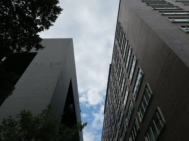a0210108_12592932.jpg
