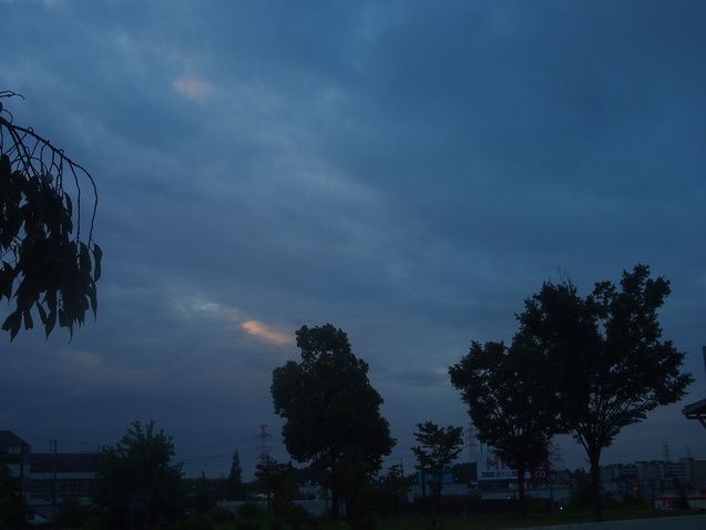 雨上がりの赤頭鷺、活発な動き　\'16/08/28_d0048812_1114117.jpg