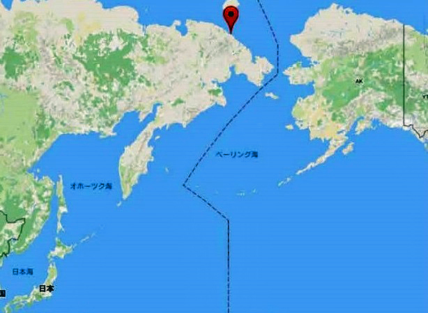 ロシア極北・チュクチ自治管区 リィルカイピ村でホッキョクグマの生後約8ヶ月の孤児が発見・保護される_a0151913_3525629.jpg