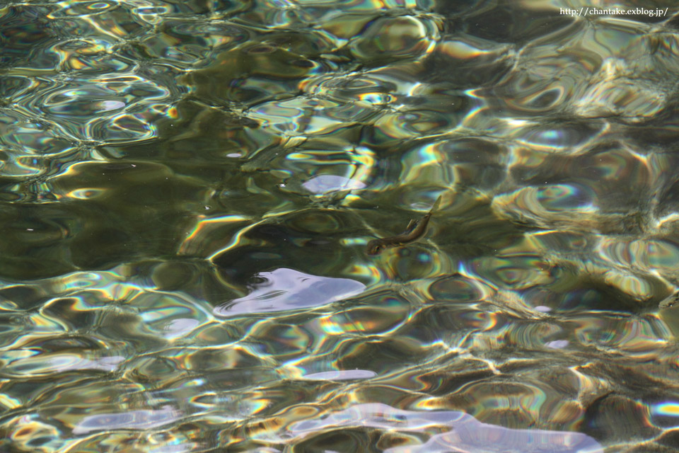 c0189013_2532724.jpg