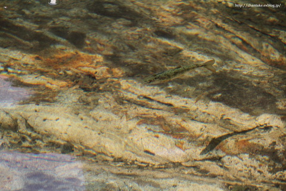 c0189013_30976.jpg