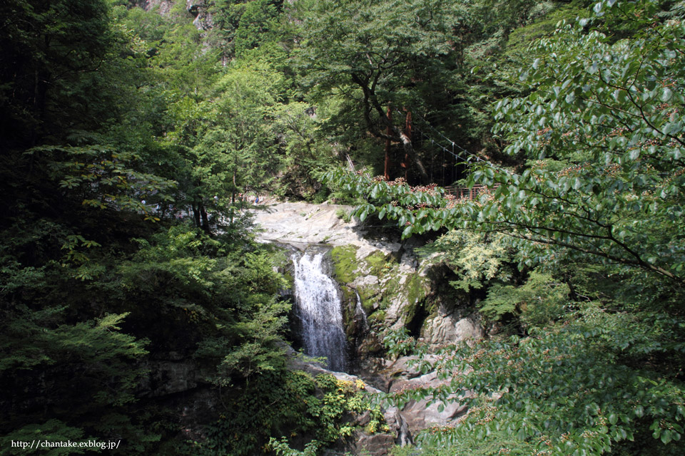 c0189013_391474.jpg