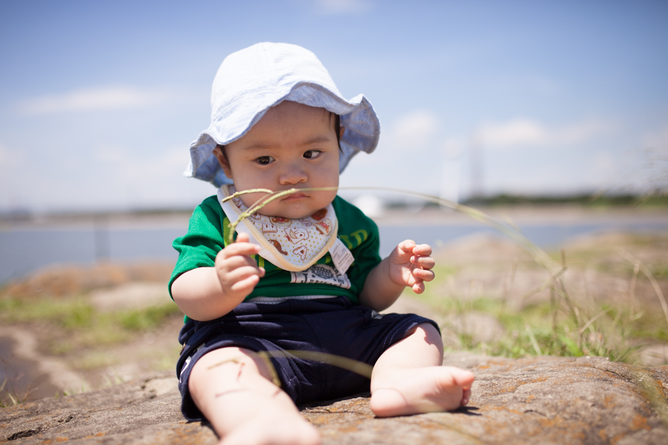 夏の思い出　葛西臨海公園_c0369219_18495295.jpg