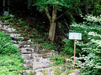 f0213825_8272439.jpg