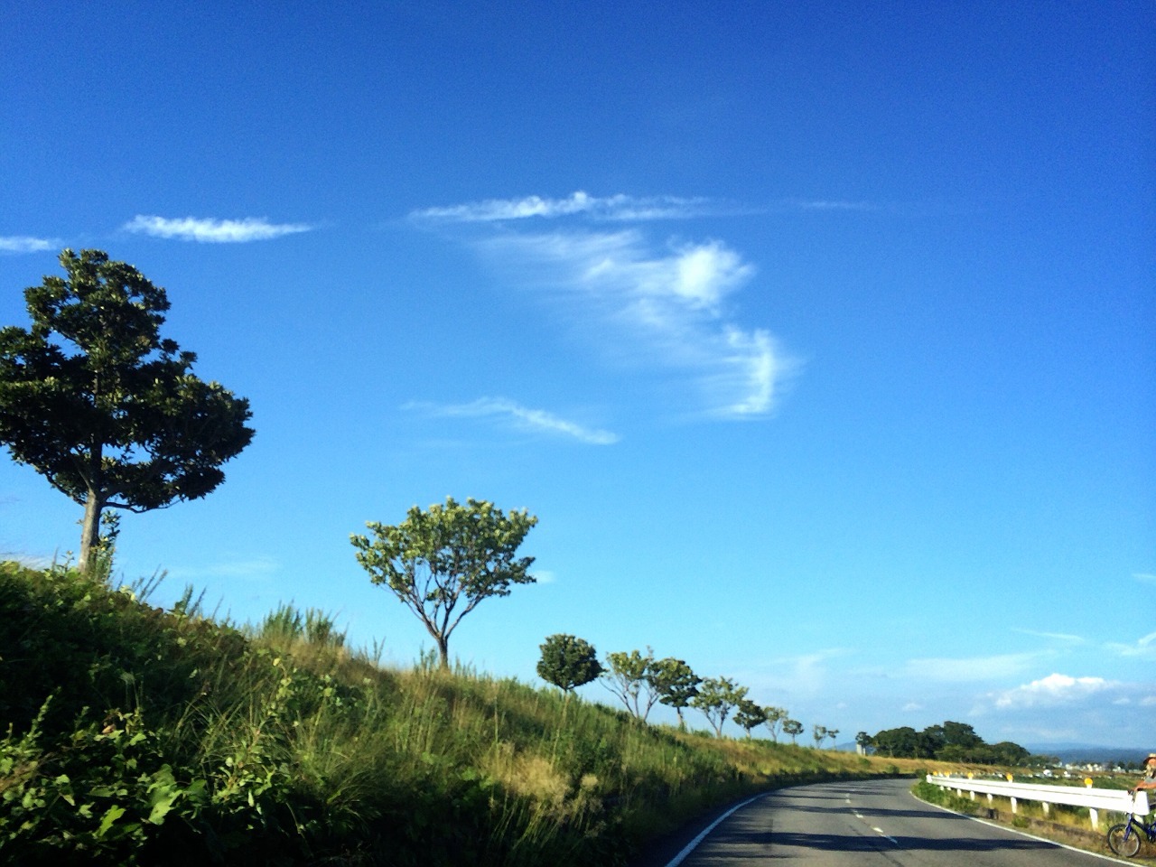 f0361132_22081823.jpg