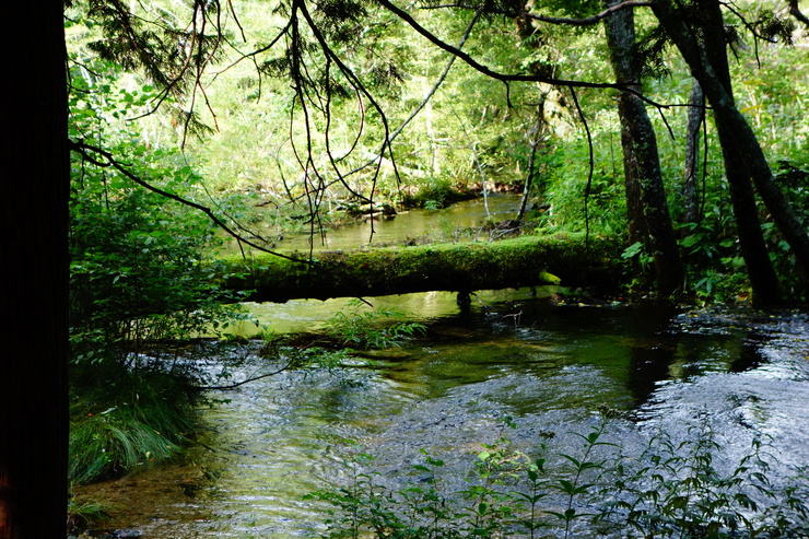 a0287336_22422412.jpg