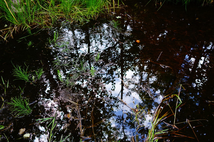 a0287336_22491995.jpg