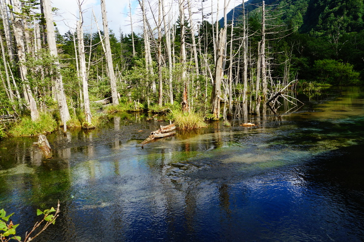 a0287336_23123283.jpg