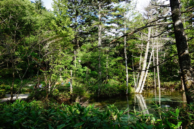 a0287336_23174077.jpg