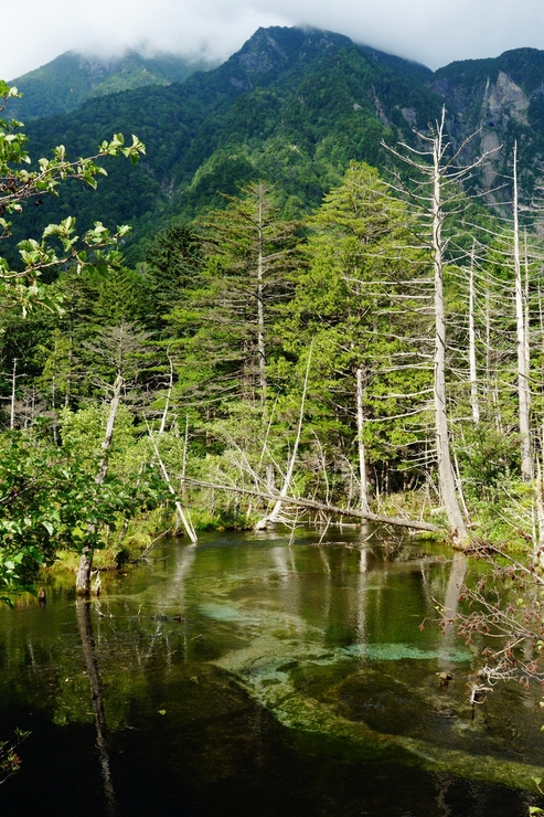 a0287336_2351991.jpg