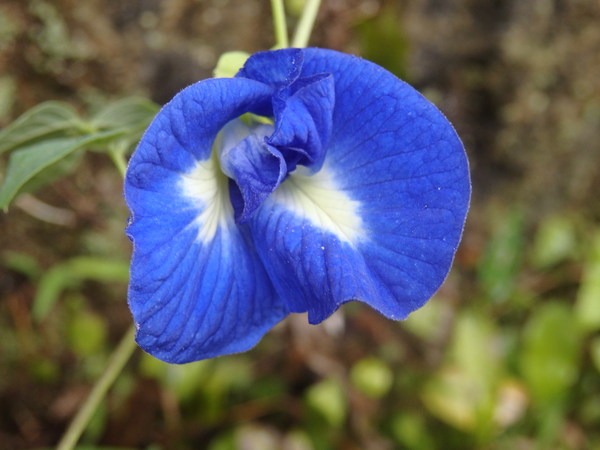 a0054240_20204220.jpg
