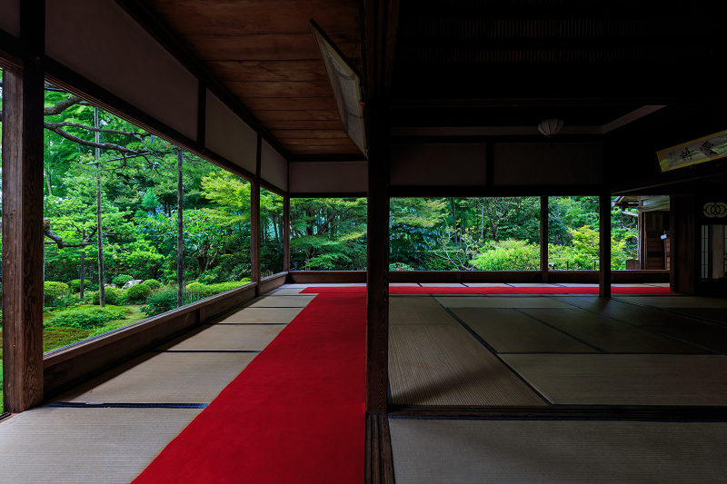 夏の庭（宝泉院）_f0155048_15595776.jpg