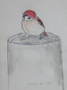 #ネイチャー・スケッチ #Naturesketch #Naturejournal #スズメ『雀 #TreeSparrow』_a0083553_8482546.jpg