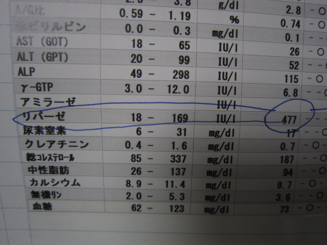 【慢性膵炎 チワワ】_b0059154_1531239.jpg