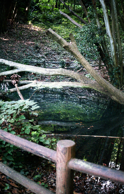 f0206356_11122890.jpg