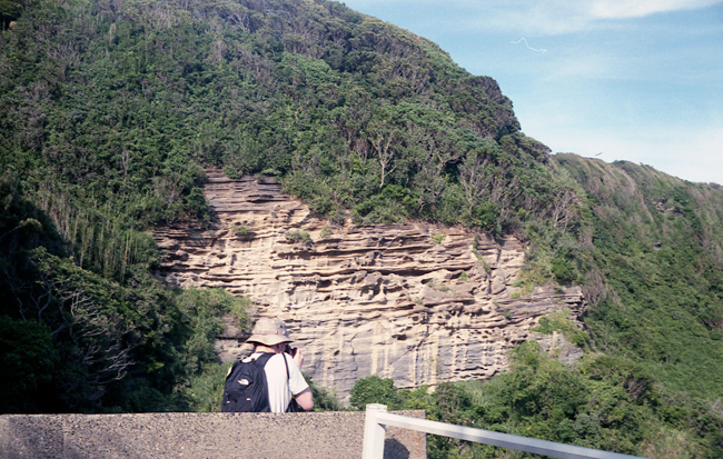 f0206356_11432946.jpg