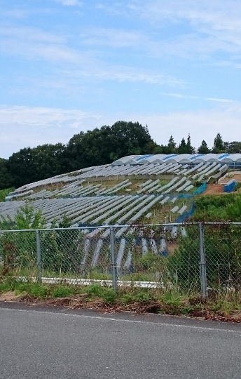 c0328559_15235890.jpg