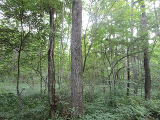 d0045362_1142950.jpg
