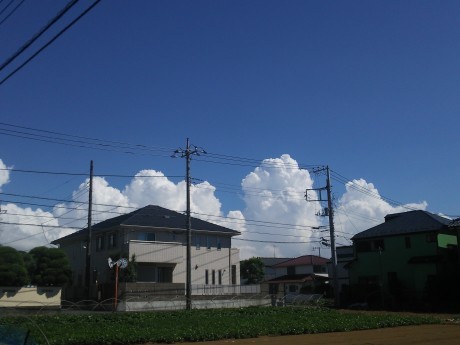 a0002665_16140222.jpg