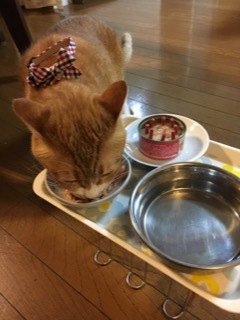 ダリ展へ_f0363168_22381520.jpeg