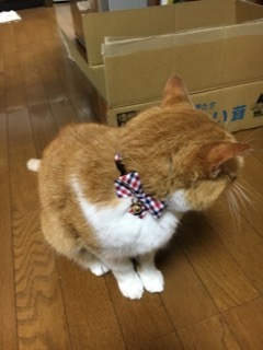 ダリ展へ_f0363168_22383064.jpeg