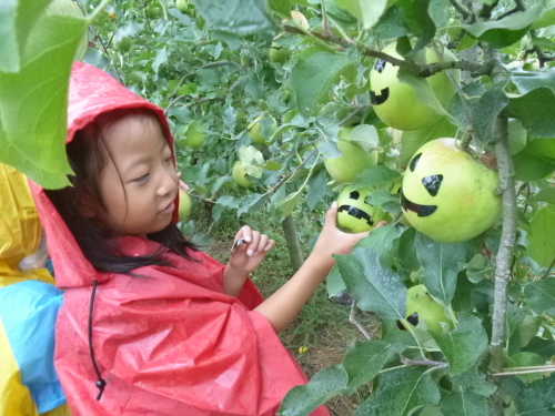 貼。_d0186069_14114909.jpg