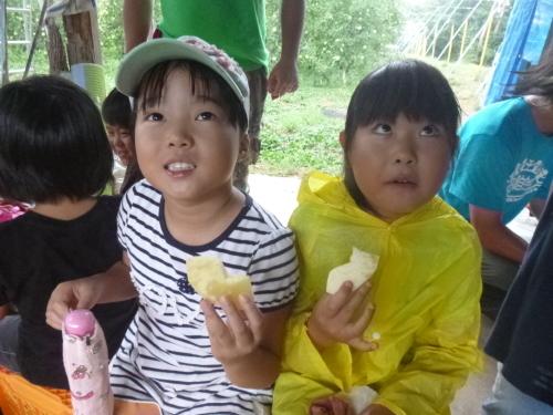 貼。_d0186069_14131539.jpg
