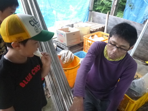 貼。_d0186069_14134071.jpg