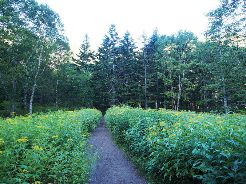 f0372177_16522932.jpg