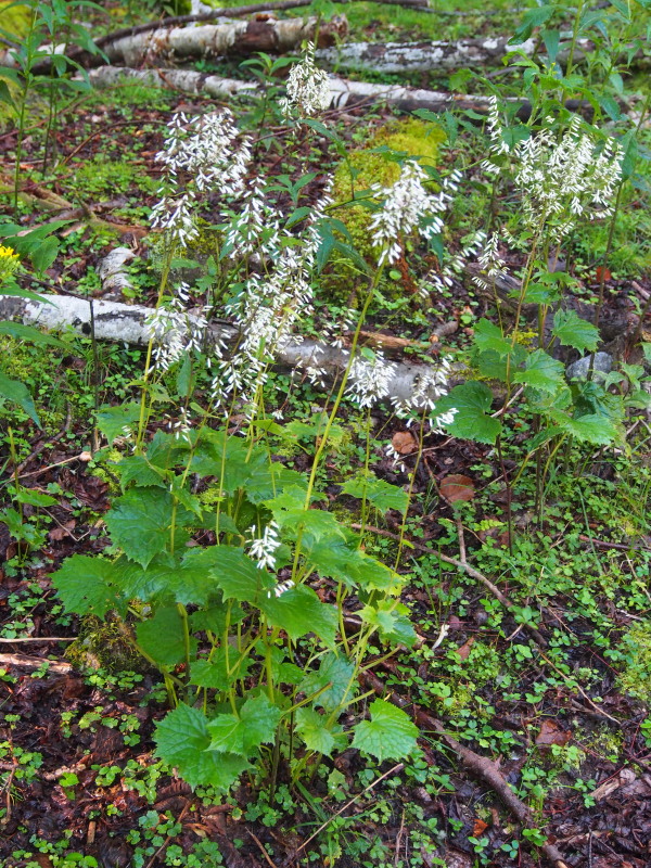 f0372177_16524580.jpg