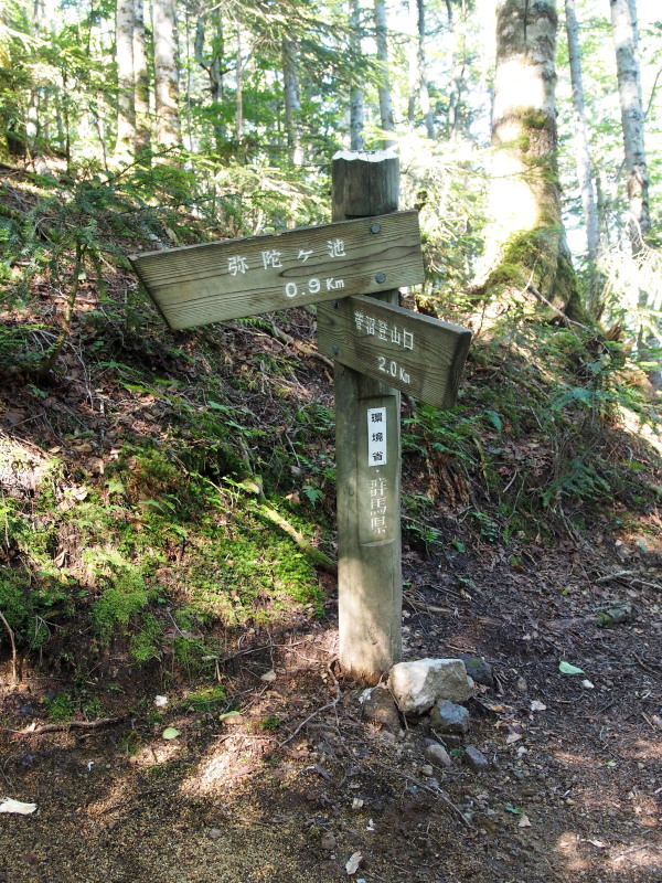 f0372177_16525777.jpg