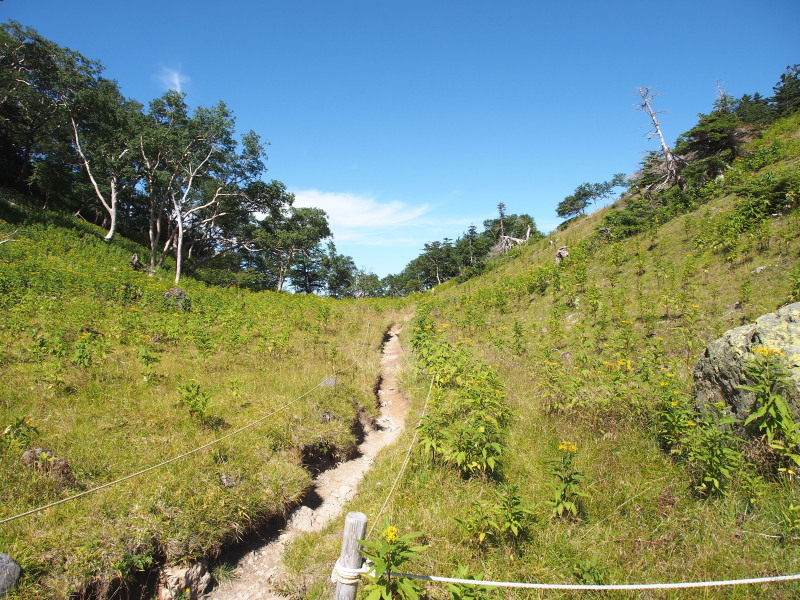 f0372177_16532954.jpg