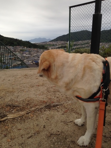 f0315081_22161455.jpeg