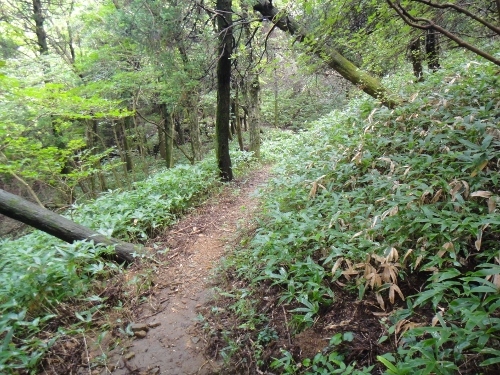 f0372285_10491504.jpg