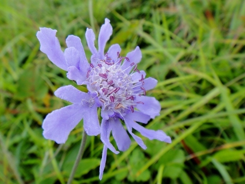 f0372285_10515131.jpg