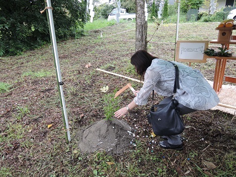 小淵沢S井さん邸の現場より 1_a0211886_22552368.jpg