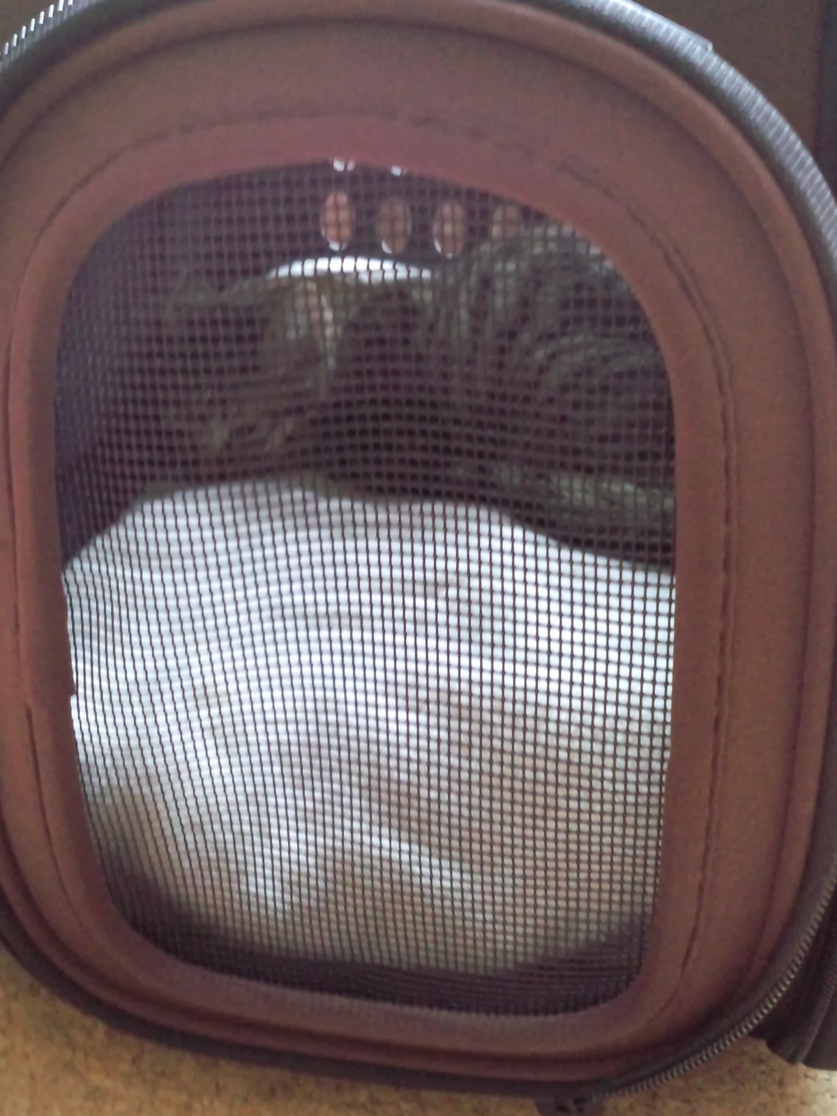 d0179994_04264691.jpeg