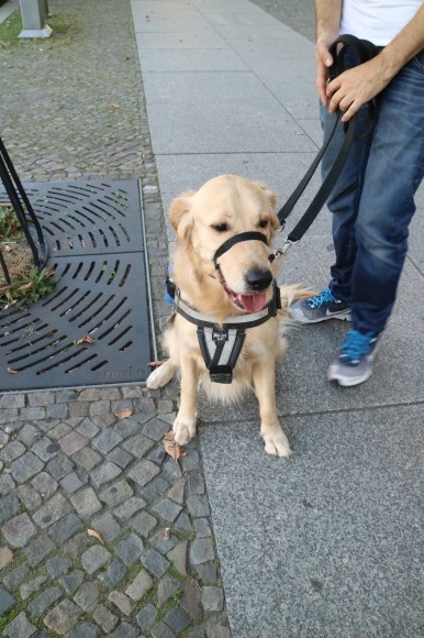 b0275998_12254497.jpeg