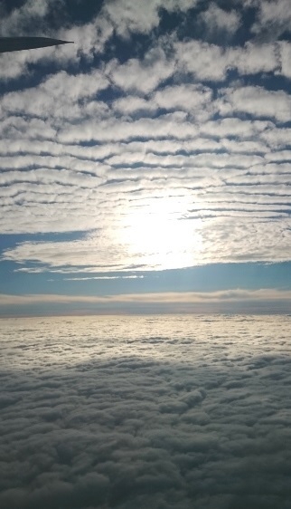 c0326599_14400019.jpg