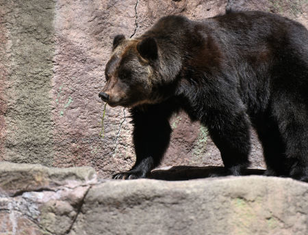 d0090801_21042316.jpg