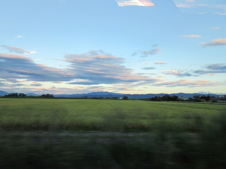a0203003_16484840.jpg