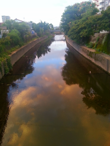 c0368903_20514027.png