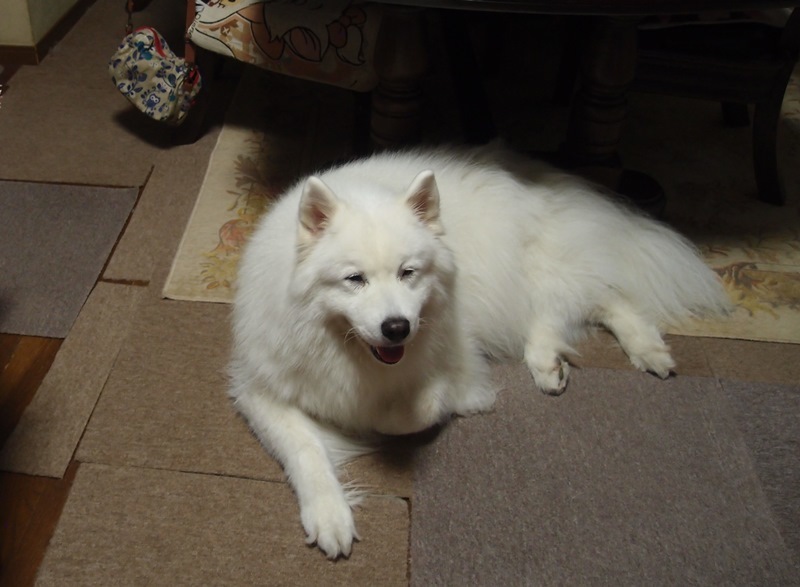 e0018604_20181782.jpg