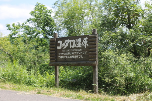 北の大地へ　釧路偏１_b0363906_15465762.jpg