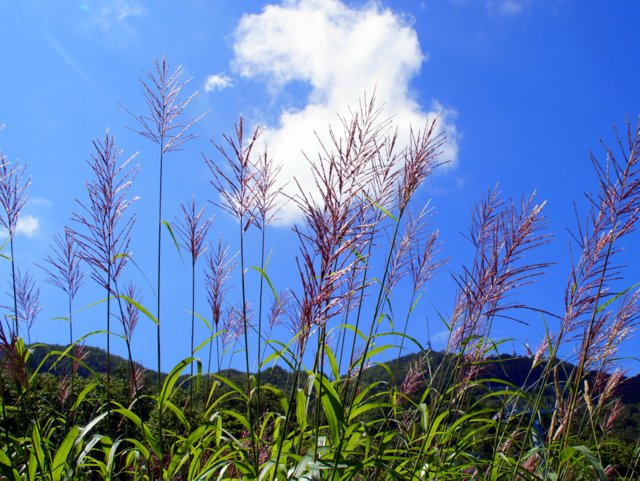 a0345007_17542368.jpg