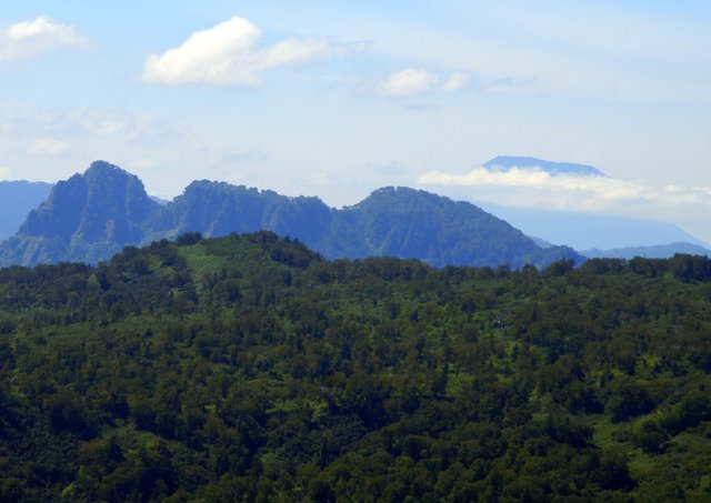 a0345007_17552768.jpg