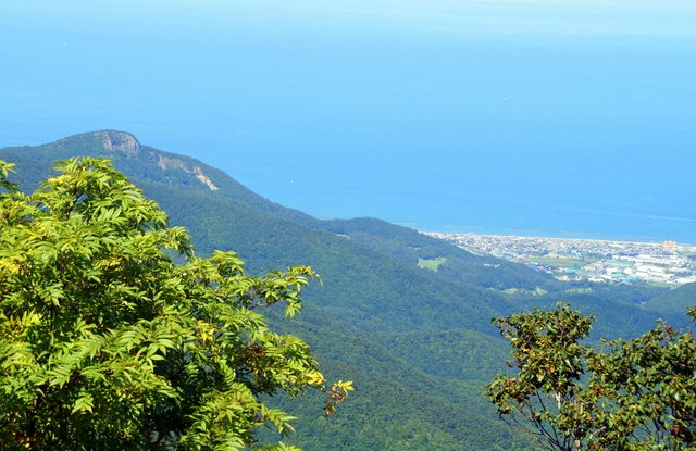 a0345007_1757443.jpg