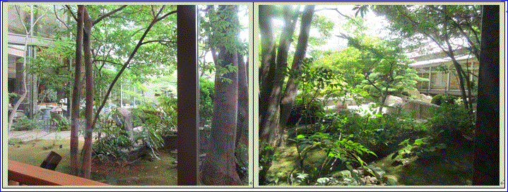 f0231709_16225419.gif