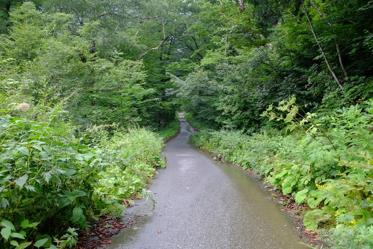 2016夏休み　一人登山　その２_e0000910_18444819.jpg