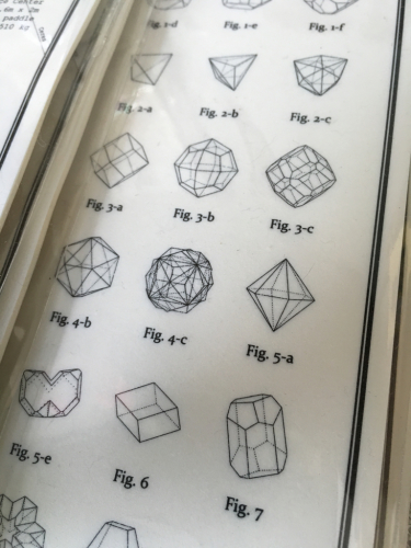 涼しい1日と値段付けとてぶの新しいおもちゃとワクチン接種_f0369914_20344841.jpg